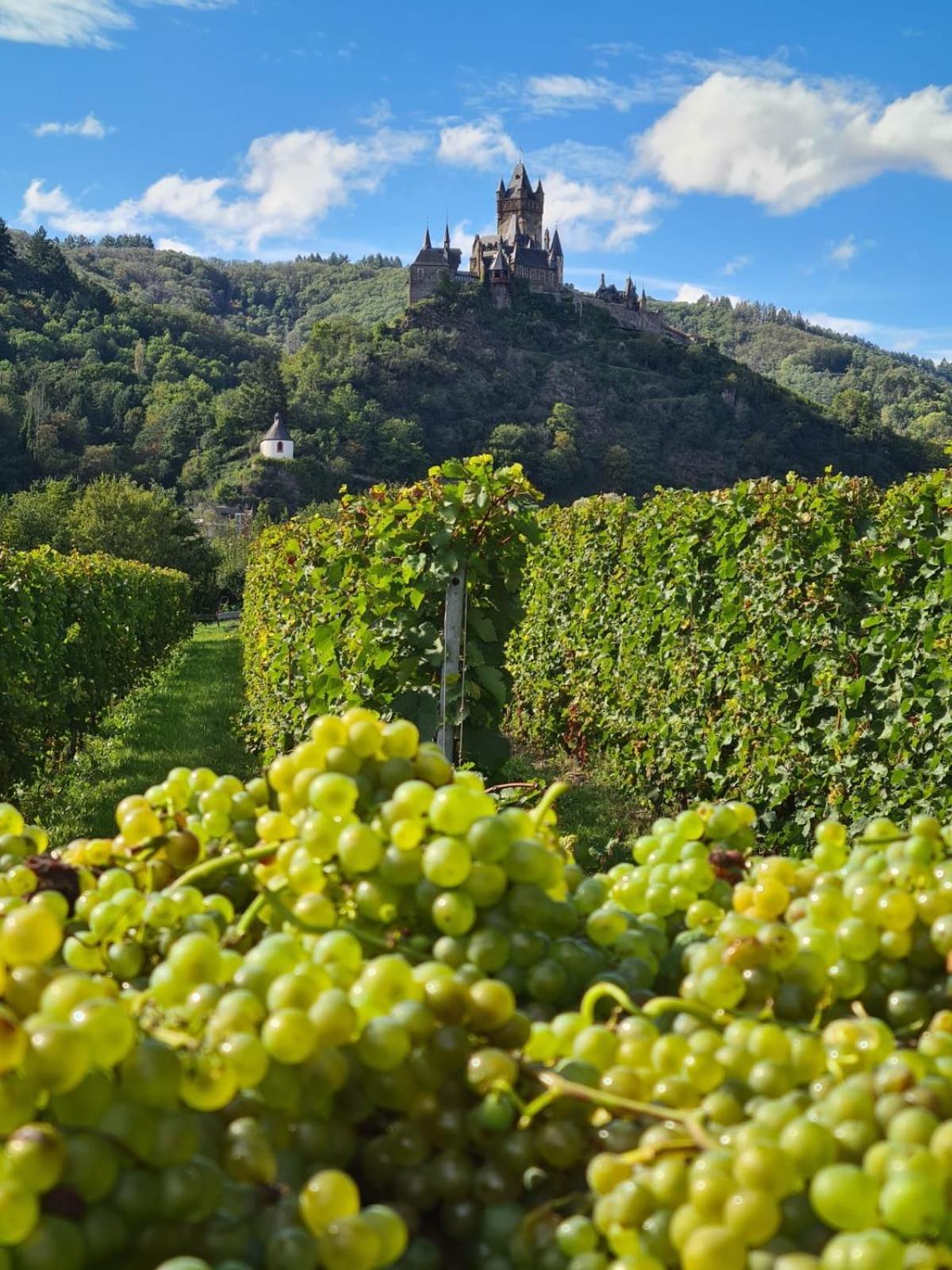 Weingut Gaestehaus Bach Cochem Zewnętrze zdjęcie